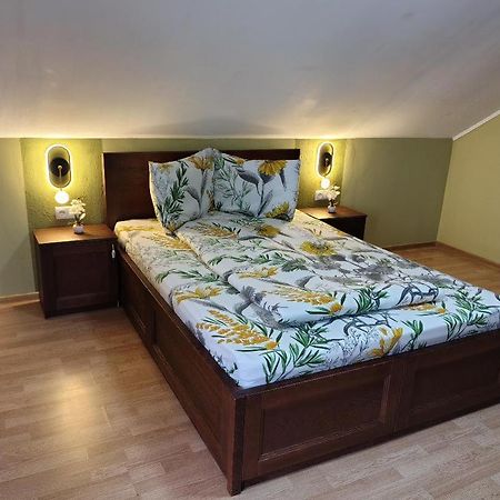 Vis Pension Viile Satu Mare Exterior photo