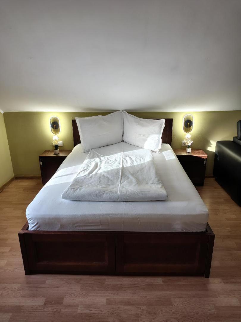 Vis Pension Viile Satu Mare Exterior photo