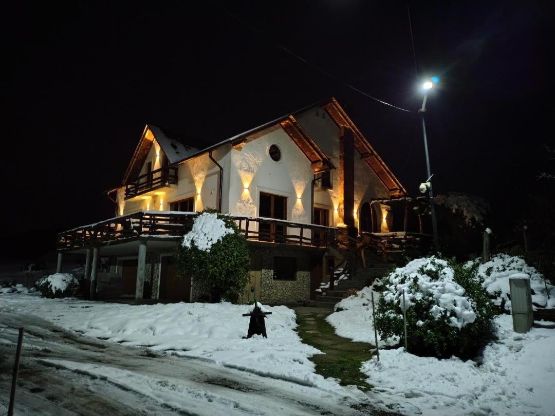 Vis Pension Viile Satu Mare Exterior photo