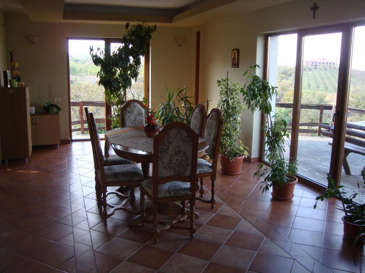 Vis Pension Viile Satu Mare Exterior photo